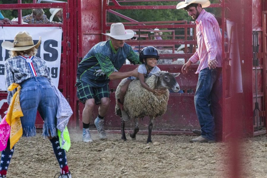 A little girl rides on the back of a sheep during the Sandburr Family Youth Rodeo at the Johnson County Fairgrounds in Iowa City on Wednesday, July 27, 2022.