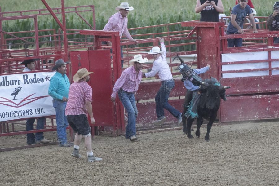 Landon Sweeting rides a bull during the Sandburr Family Youth Rodeo at the Johnson County Fairgrounds  in Iowa City on Wednesday, July 27, 2022.