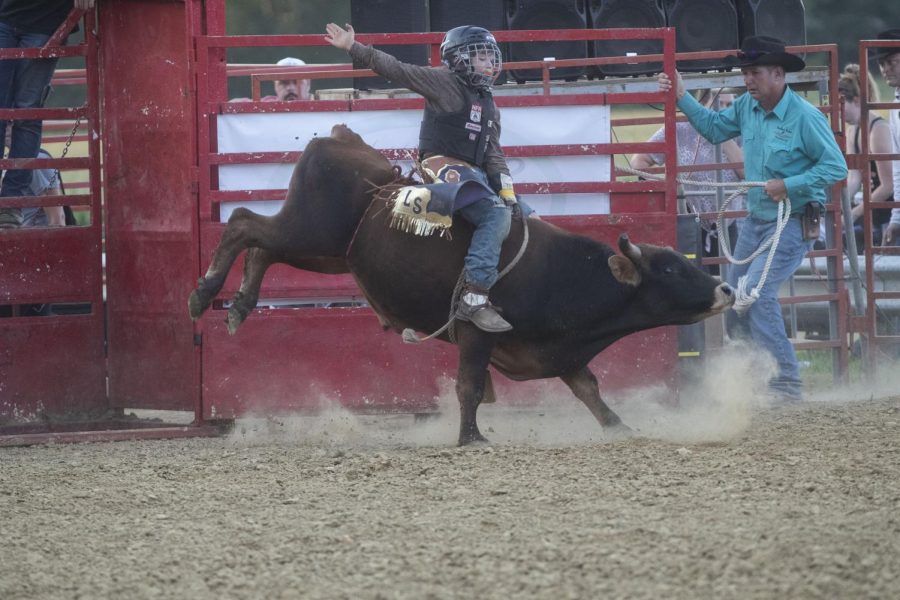 Corbin Plank rides a bull during the Sandburr Family Youth Rodeo at the Johnson County Fairgrounds  in Iowa City on Wednesday, July 27, 2022.