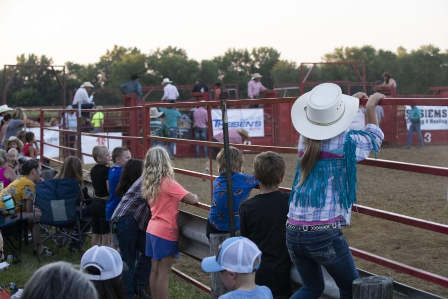 Kids stand across the fence during the Sandburr Family Youth Rodeo at the Johnson County Fairgrounds  in Iowa City on Wednesday, July 27, 2022.