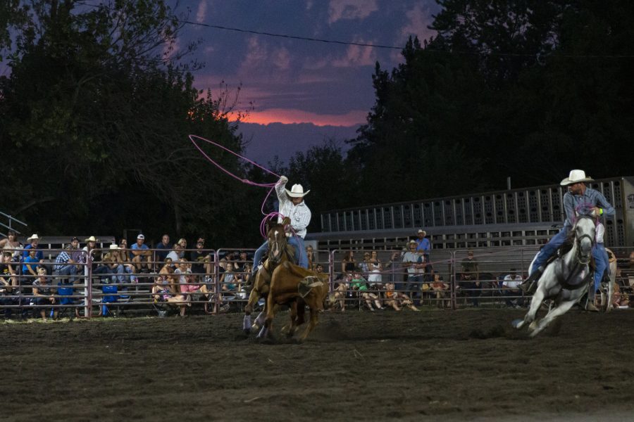 Zac Sprouse and Jed Martsching run down a bull as part of the team roping competition during a rodeo hosted by the Wright Rodeo Company for Old Settlers Days in Maxwell, Iowa, on Saturday, Aug. 6, 2022.