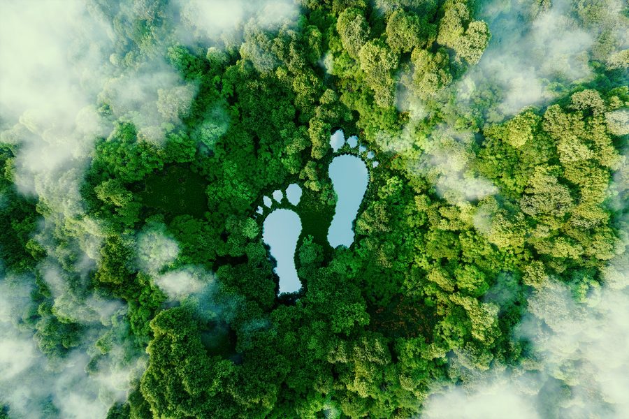 A lake in the shape of human footprints in the middle of a lush forest as a metaphor for the impact of human activity on the landscape and nature in general.
