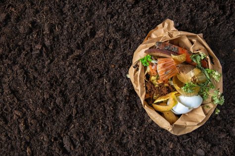 Opinion | Composting is essential