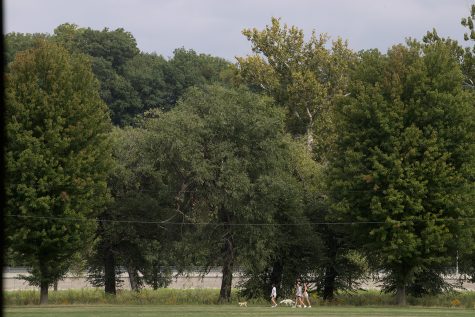 Trees in City Park, Iowa City. Emerald Ash Borer Beetles, an invasive species, threatens many ash trees throughout the Midwest. Monday, September 5, 2022. 