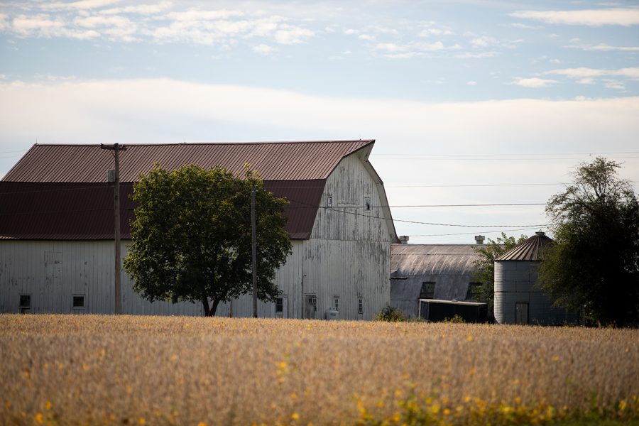 A barn stands by a cornfield near American Legion Road in Iowa City on Thursday, Sept. 22, 2022.
