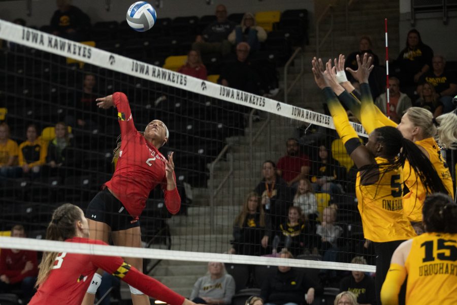 Maryland outside hitter Laila Ivey spikes the ball at a volleyball game between Iowa and Maryland at Xtream Arena in Coralville on Thursday, Oct. 27, 2022. The Terrapins defeated the Hawkeyes, 3-1. Ivey had a total of 11 kills.