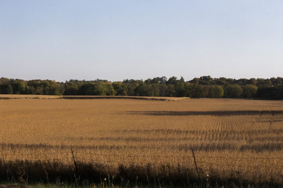 A view of the proposed land for Windham Village in Oxford, Iowa. 