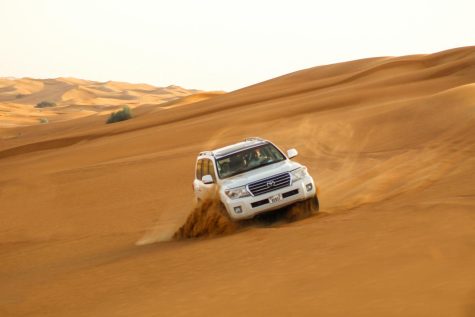 15 Best Desert Safari Dubai Packages (With Amazing Activities)