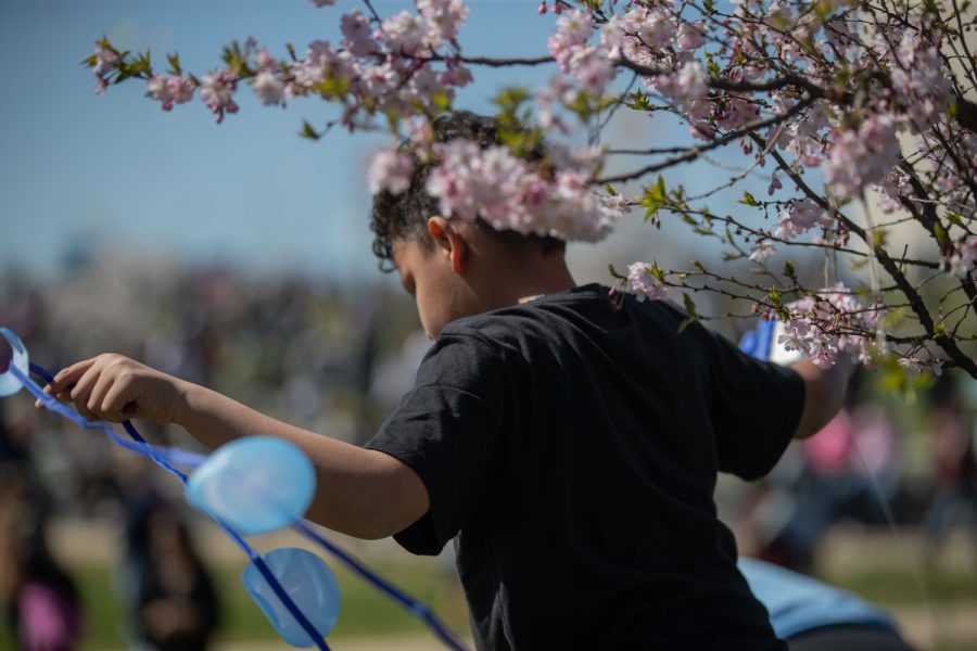 A child flies a kite by the Washington Memorial during the Cherry Blossom Festival in Washington D.C. on Sunday, March 26, 2023.