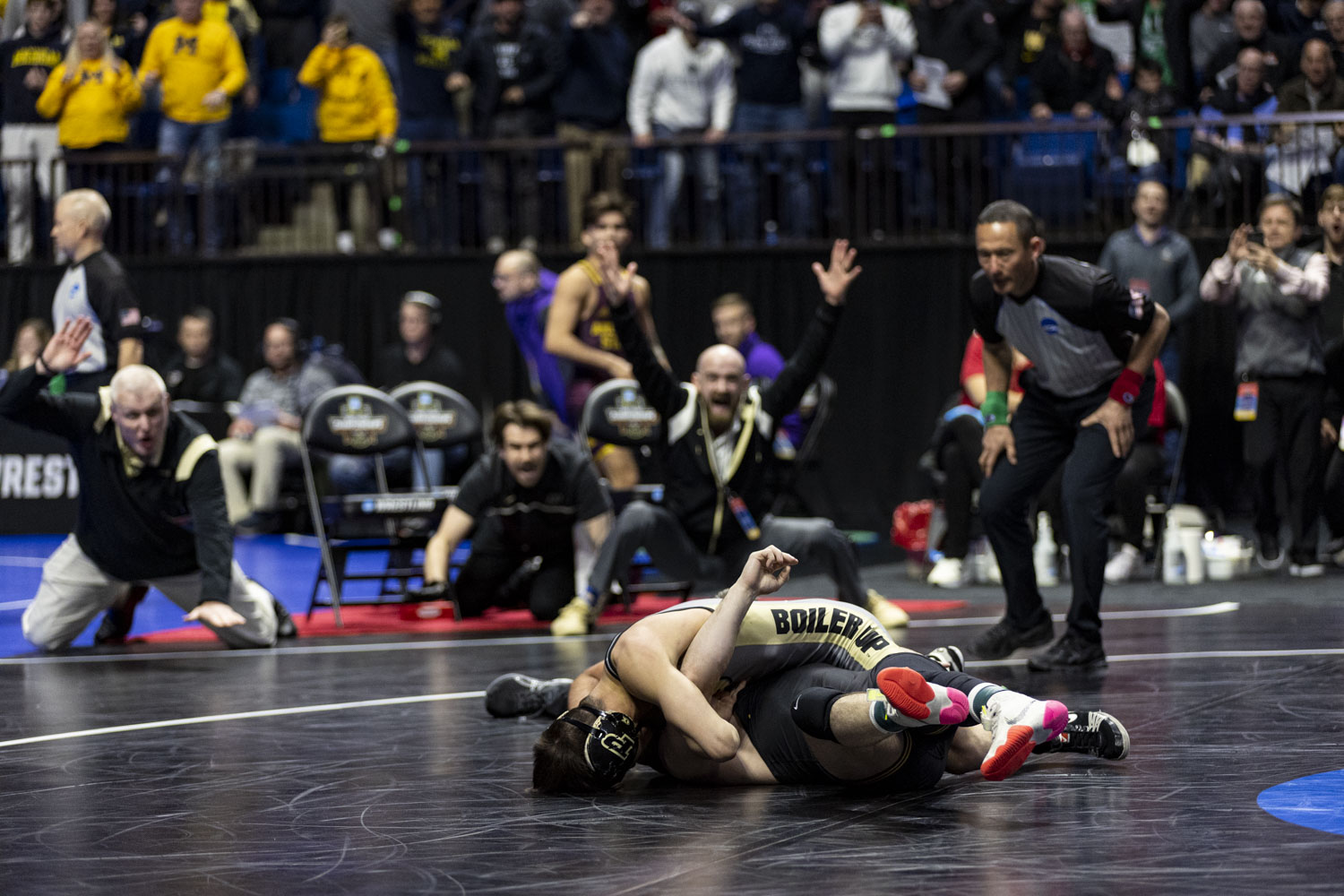 Iowa men's wrestling's three-time national champion Spencer Lee medically  forfeits from 2023 NCAA Championships medal round - The Daily Iowan