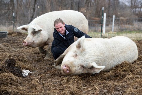 Owner of Rainbow Roots Farm Corbin Scholz pets Nubby the pig at the farm in Iowa City, Iowa on Saturday, March 26, 2023. Scholz uses pigs for organic fertilizer and feeds them veggie scraps for food. They’ve owned the pigs since the pigs were six-weeks old. 