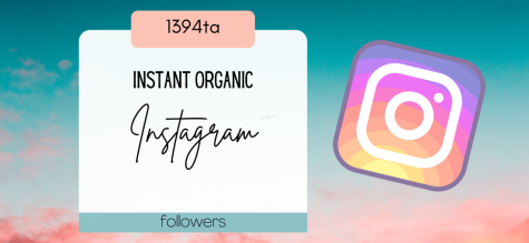 1394TA: Instant Organic Instagram Followers