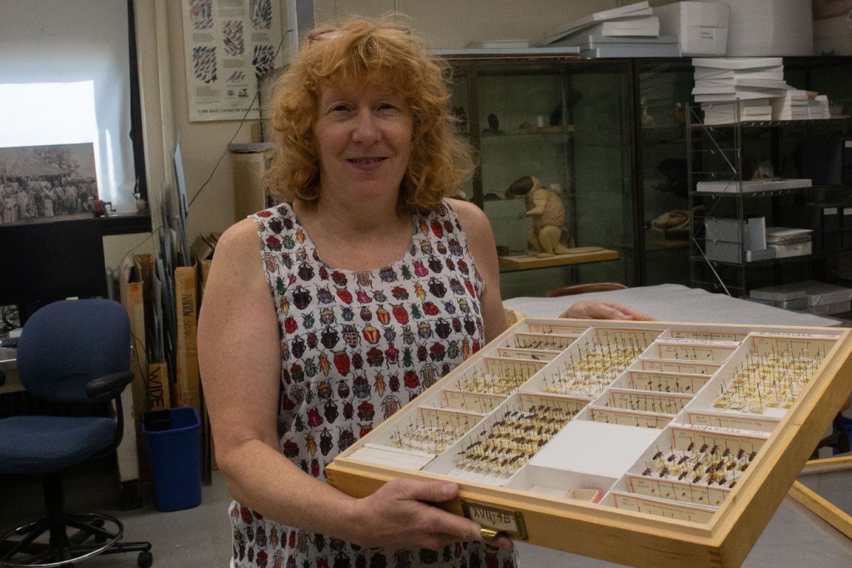 Cindy Opitz holding the Wesleyan Collection containing insects at the University of Iowa in Iowa City on Wednesday, August 29, 2023. (Alyssa Miner/ The Daily Iowan)