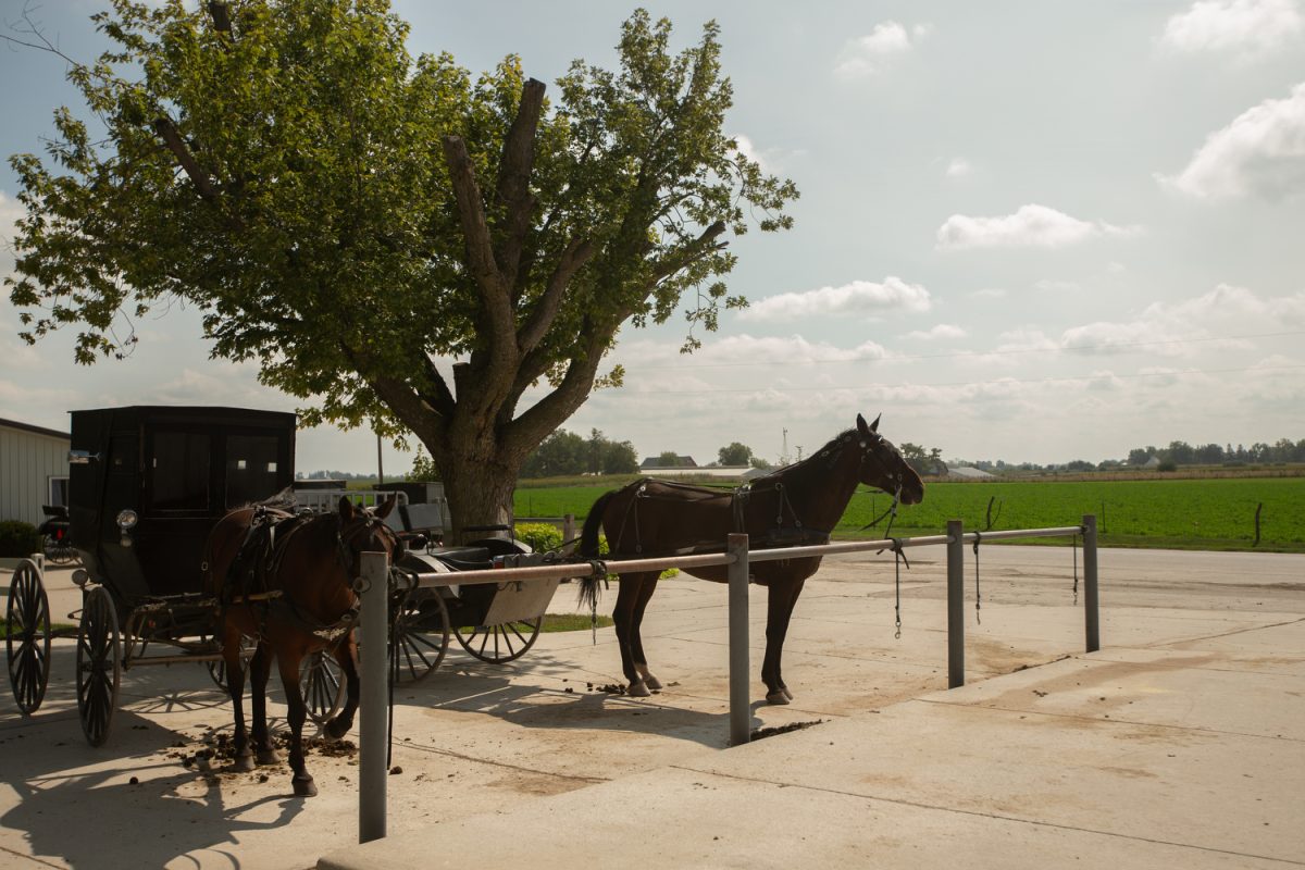 Horse and buggies are seen at Stringtown Grocery Store in Kalona, Iowa on Sept. 28, 2023. Members of the Amish community oppose the repavement of a road in Kalona from a chip-seal surface to asphalt because the new road wouldn’t be horse friendly.