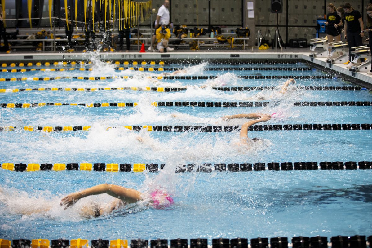 Freestyle swimmers raced to the wall during a swim meet between Iowa and  Northern Iowa at the Campus Recreation and Wellness Center on Friday, Oct. 6, 2023. The Hawkeyes defeated the Panthers 196.5-103.5.