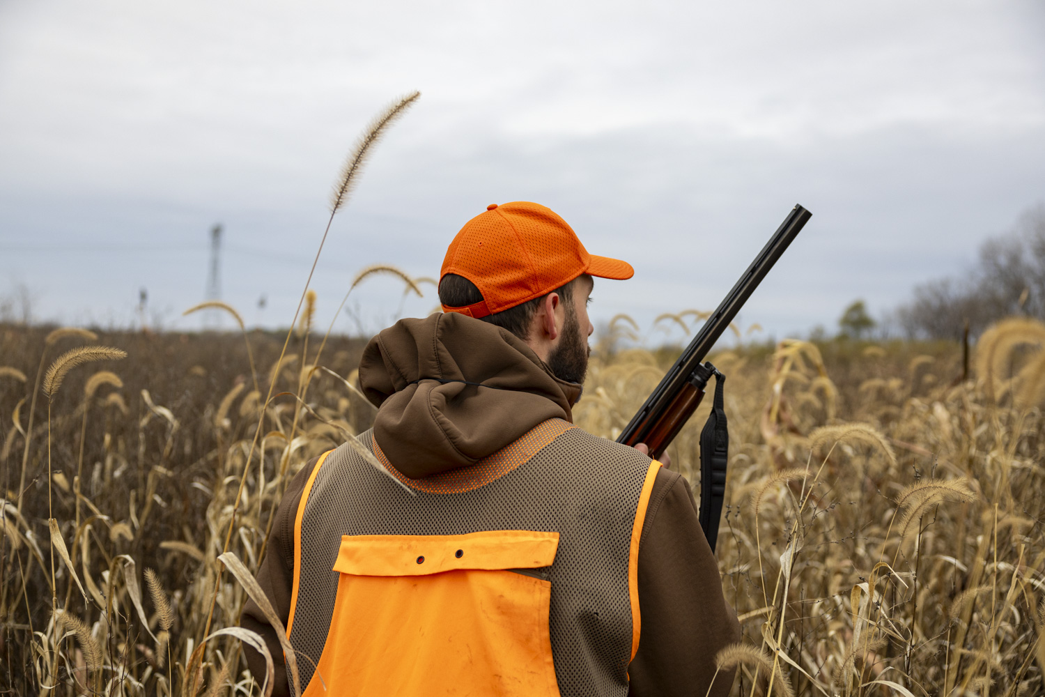 Above the Fold: Hunters enjoy pheasant season - The Daily Iowan
