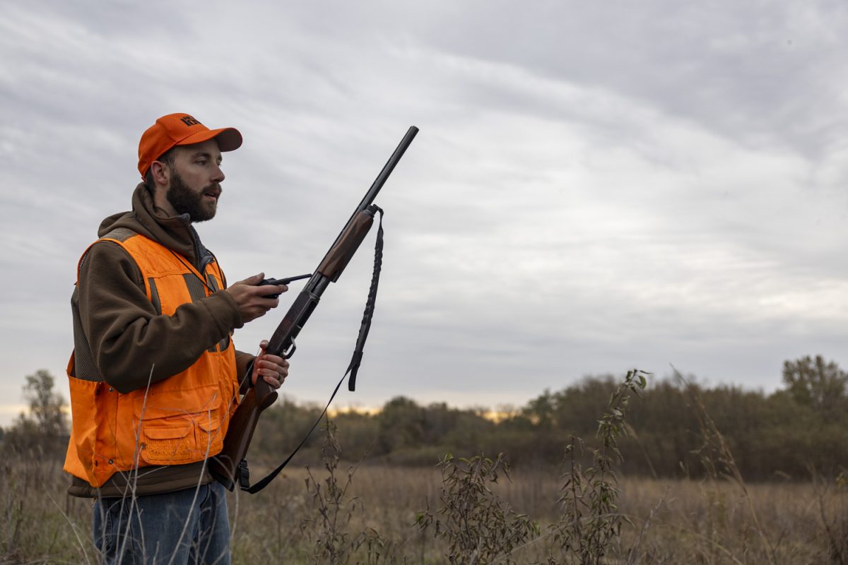 Aaron Ohlsen looks up from his GPS tracker during pheasant hunting season at the Hawkeye Wildlife Management Area in Oxford, Iowa, on Friday, Nov. 3, 2023. Ohlsen points to consecutive mild springs and winters as the reason for the rise in pheasants this year.
