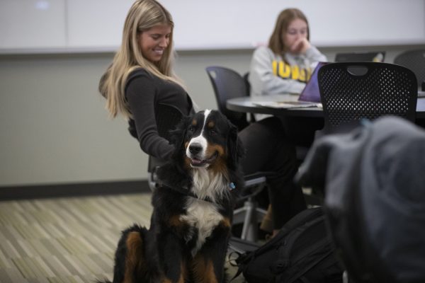 Drax, a therapy dog, sits by students at Trowbridge Hall at the University of Iowa on Tuesday November 14, 2023.

(Theodore Retsinas/The Daily Iowan)