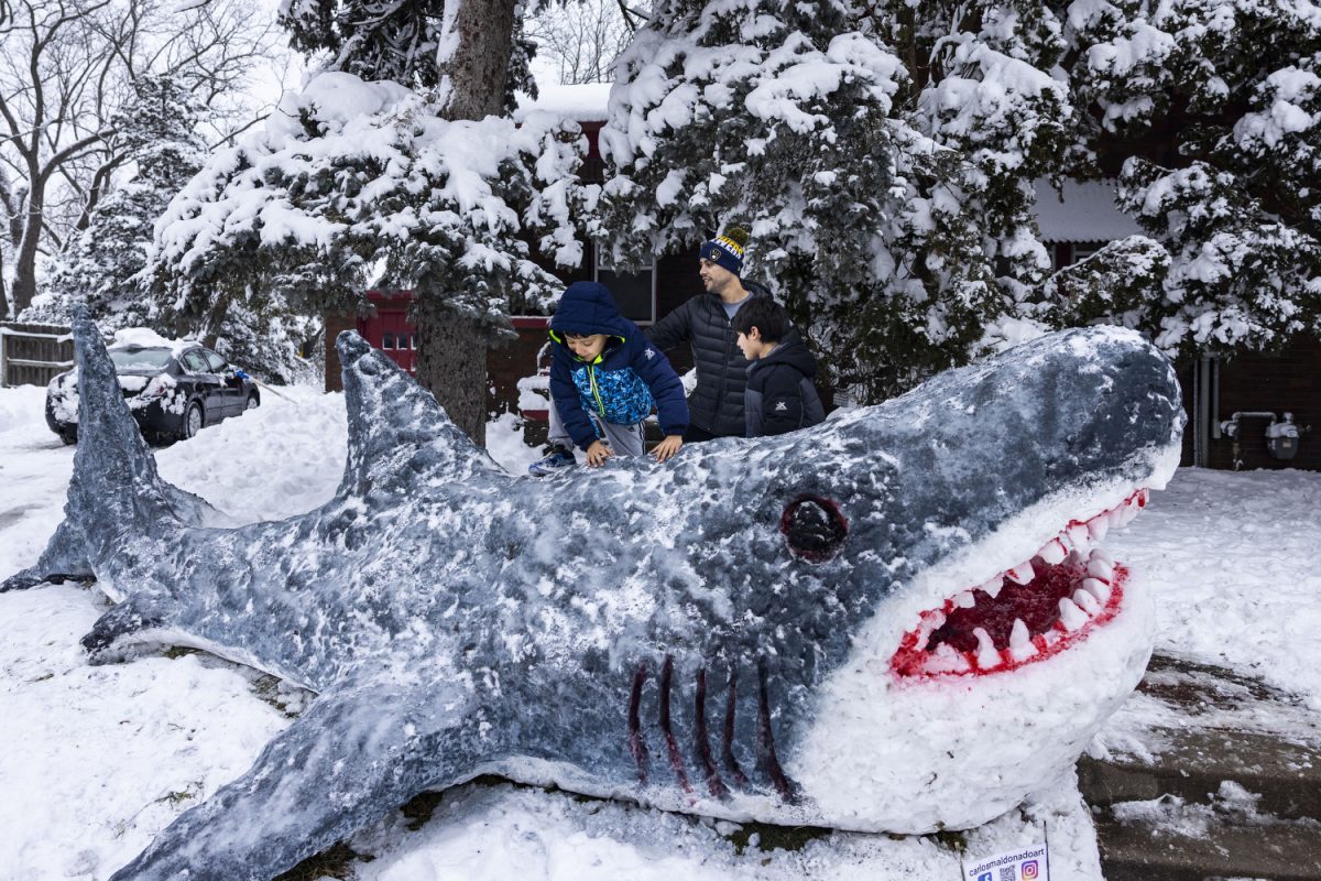 Artist Carlos Maldonado helps Oscar and Gael Maldonado up on a shark made of snow in Iowa City on Thursday, January 11, 2024. A snowstorm swept across Iowa on Tuesday, Jan. 9 and Iowa City reported 15 inches of snow as of 8 p.m. that day. The shark took six hours to form and paint.