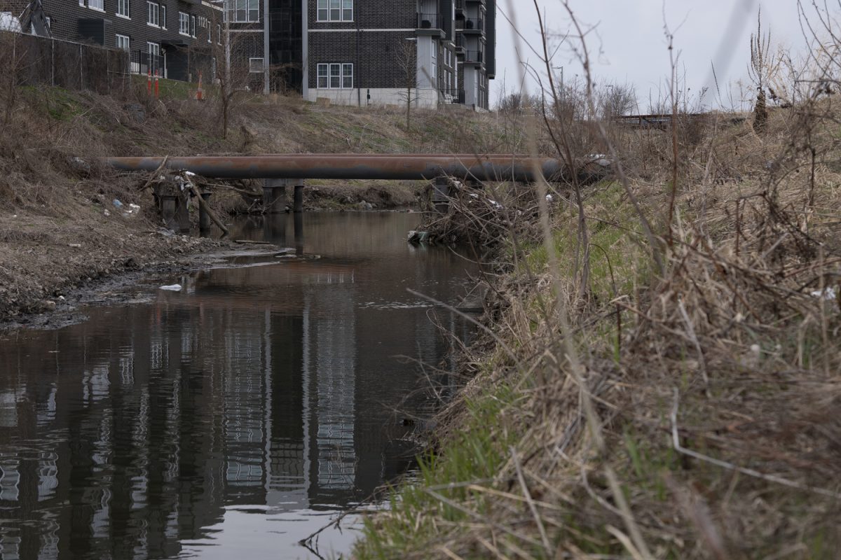 Ralston Creek is seen in Iowa City on Sunday, March 24, 2024. Data from 2021-2022, listed the creek as an impaired waterbody that needs a total daily maximum load (TDML), under State Section 303(d). TDML is the calculation of the maximum amount of a pollutant allowed to enter a waterbody so that the waterbody will meet water quality standards.