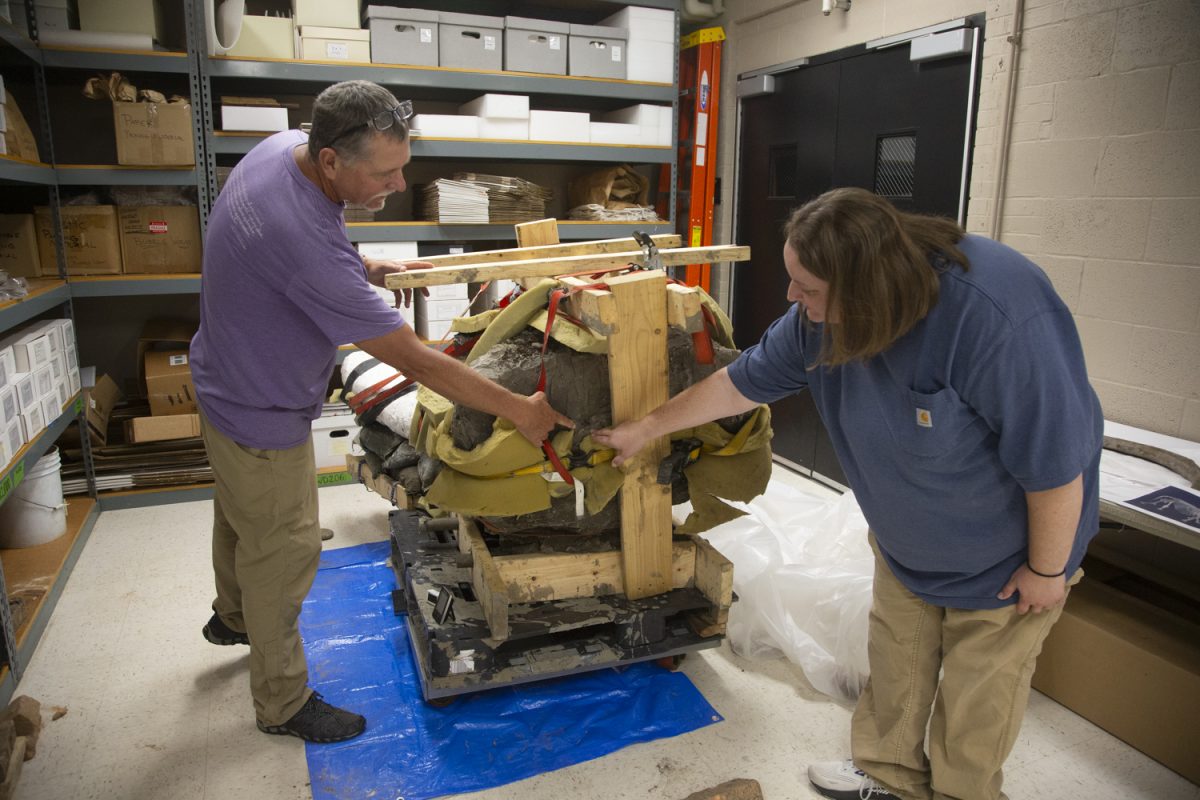 State archaeologist John Doershuk and project archaeologist Veronica Mraz point out the structural integrity of a mastodon skull during a study at the Iowa Office of the State Archaeologist building in Iowa City on Sept. 12, 2024. The mastodon remains were found in Wayne County, Iowa, and the age is around 13,600 years old.