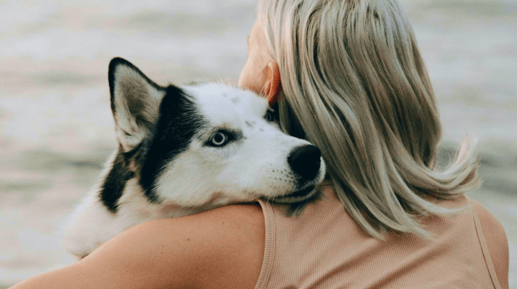 What Disabilities Qualify for an Emotional Support Animal?