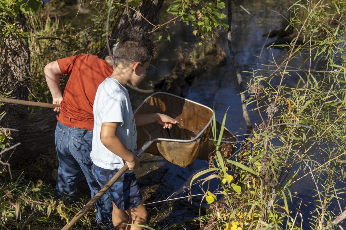 Children catch wildlife during the first Wings and Wild Things Festival at Kent Park in Oxford, Iowa, on Sunday, Oct. 6, 2024. The festival included hands-on experiences with Iowa wildlife. 