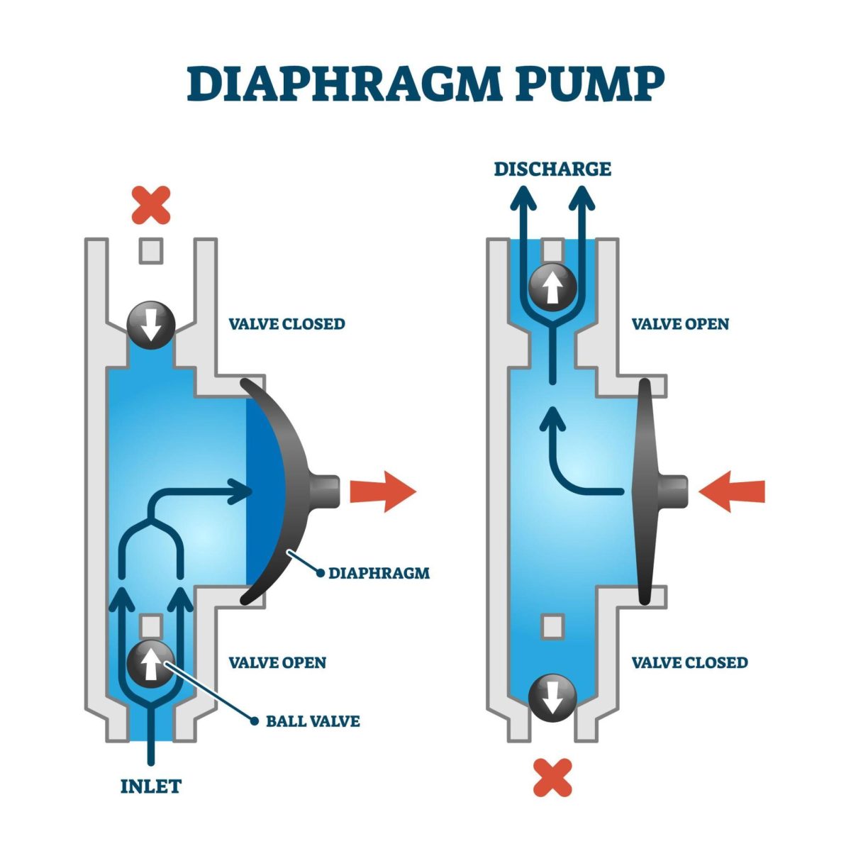 What Is a Diaphragm Pump? 6 Things to Know