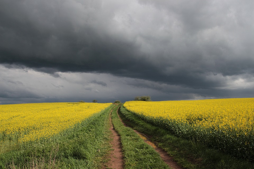 Iowa's Tornado Alley: Is Des Moines, IA at Risk?