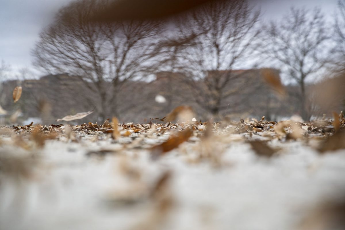 Leaves move on a sidewalk on the Pentacrest on Monday, April 4, 2022. Iowa City is currently encouraging residents to leave fallen leaves on their lawns.