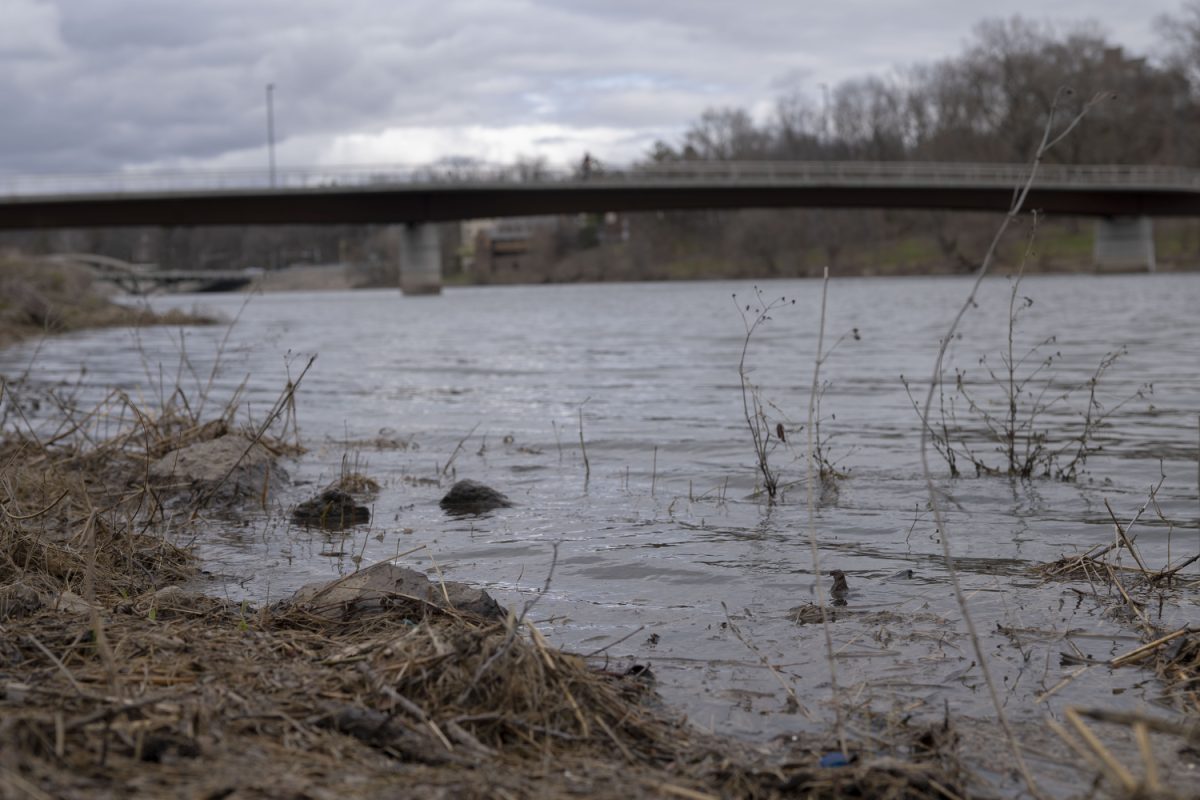 The Iowa River is seen in Iowa City on Thursday, April 4, 2024. 