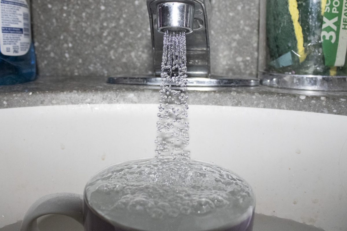 Water fills a cup from a dorm faucet in Iowa City on Thursday, Nov. 21, 2024. Many cities in Iowa have fluorinated drinking water to help prevent tooth decay.