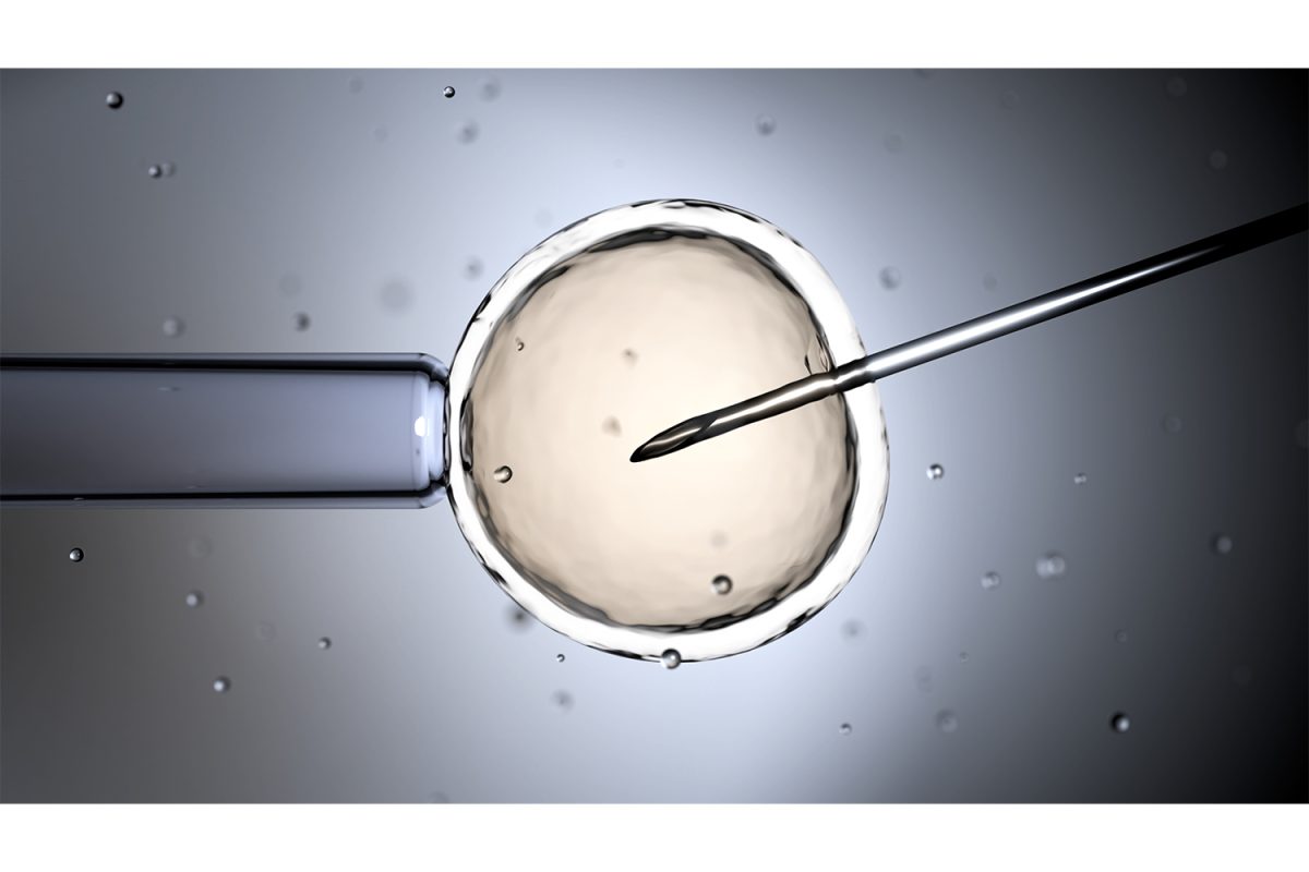 Opinion | We need to federally protect IVF