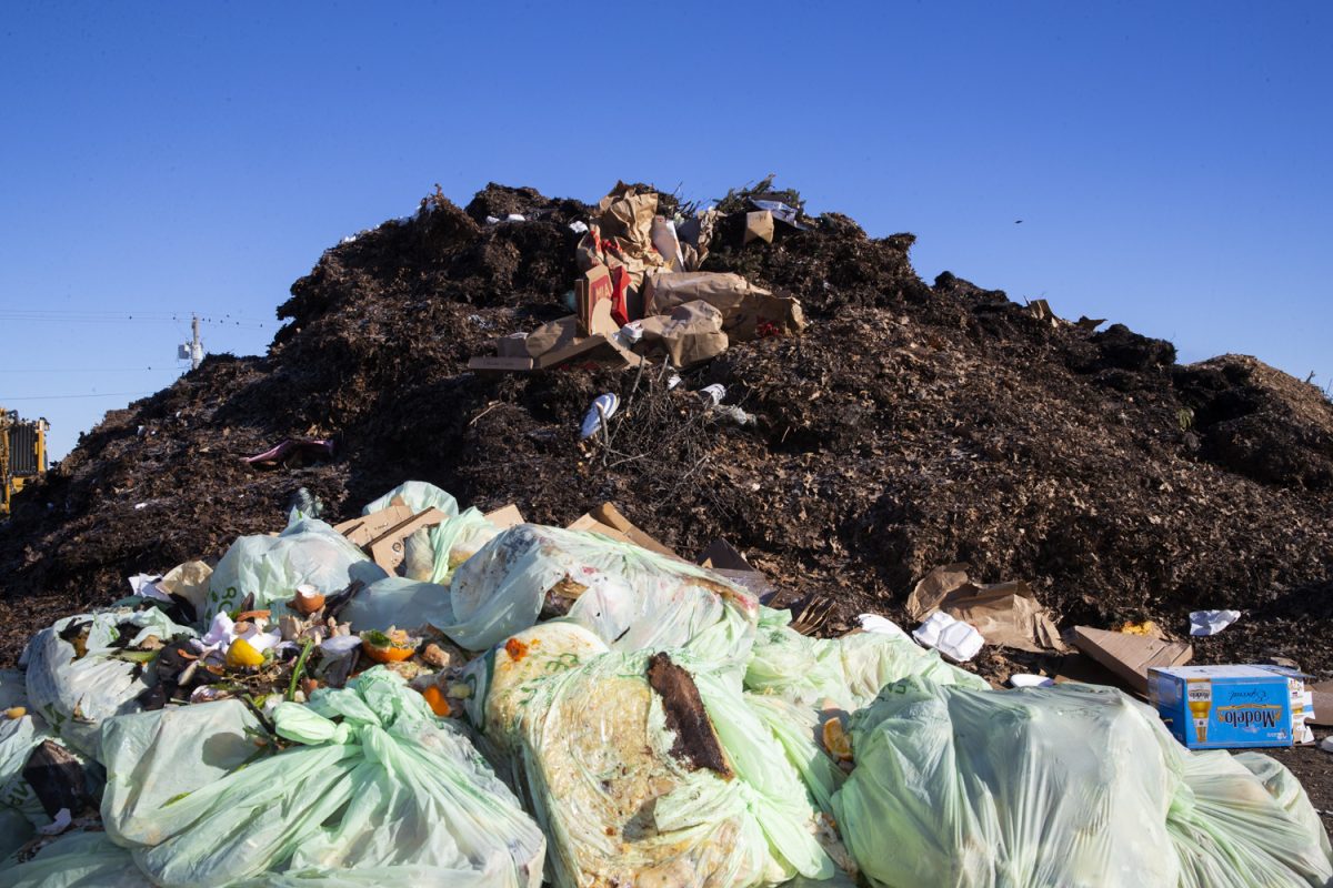 A pile of food waste waits to be mixed in with leaves, wood chips, and other organic matter at the Iowa City Landfill and Recycling Center on Friday, Feb. 21, 2025. The University of Iowa is one of the largest single suppliers of compostable food waste to the IC Landfill and Recycling Center.
