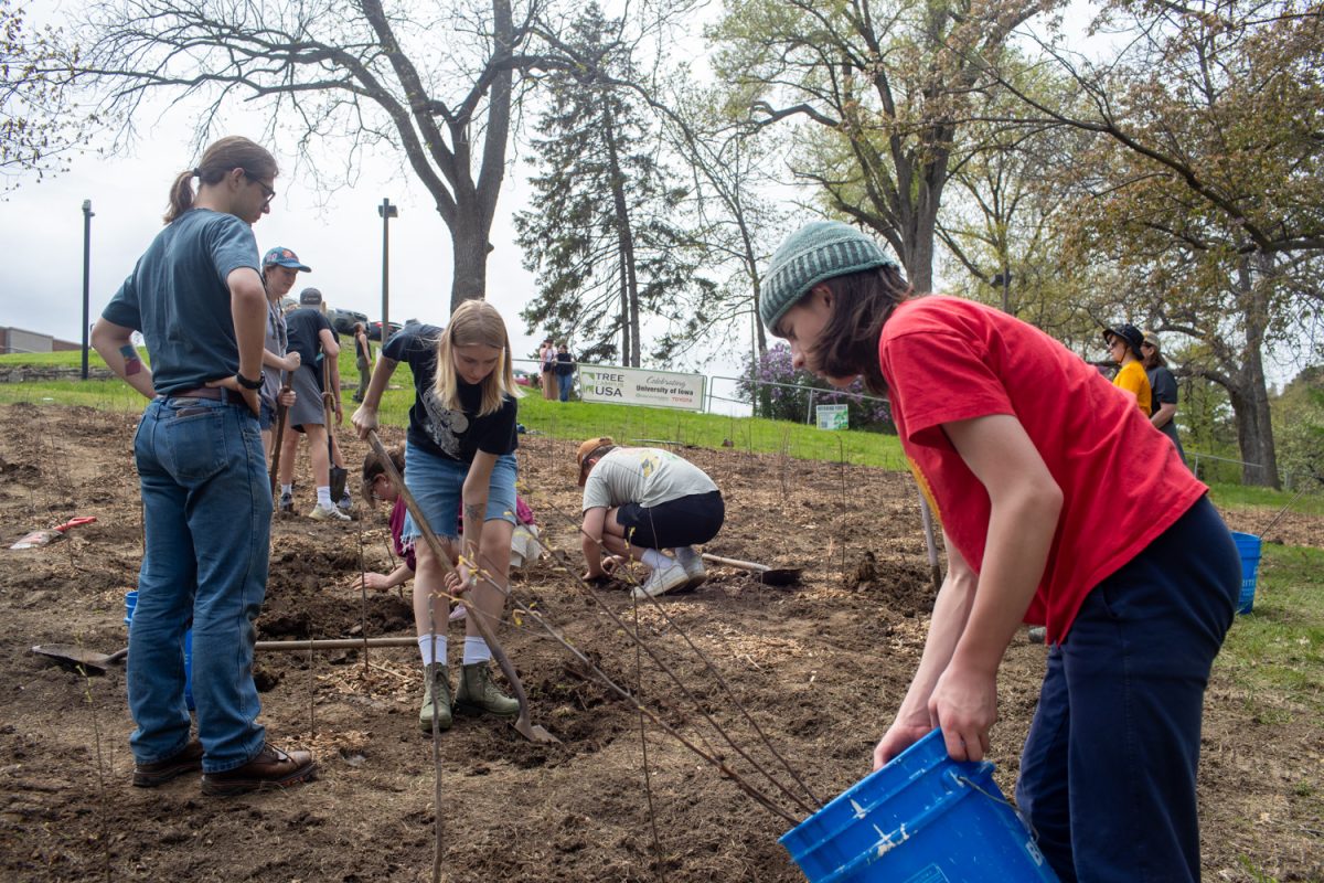 Volunteers plant tree seedlings using the Miyawaki method near Hillcrest Residence Hall on Sunday, April 27, 2025. The method was developed by Japanese botanist Akira Miyawaki, who planted native species very close together for accelerated growth. The Office of Sustainability and the Environment planted over 1,000 seedlings so far over the last week in honor of Arbor Day.