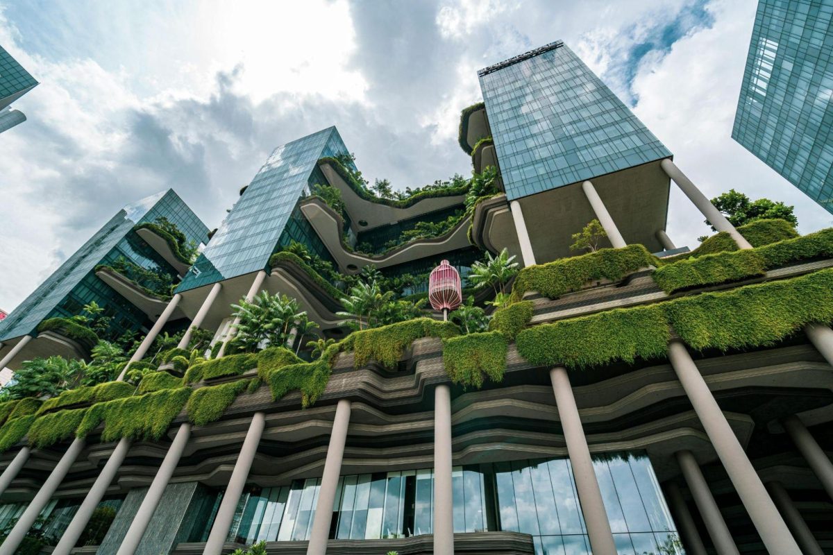 7 Ways Vertical Gardens Are Transforming Urban Spaces