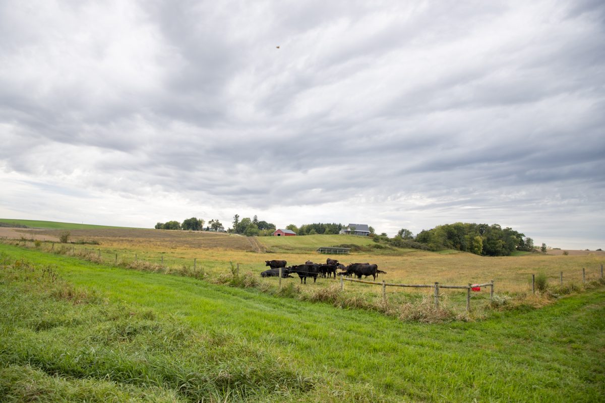 Jiyū American Wagyu farm is seen in Iowa City on Monday, Oct. 6, 2025. 

