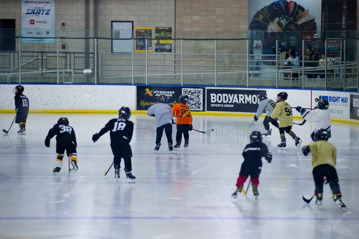 Children skate on the ice at the BODYARMOR indoor ice rink in the Coral Ridge mall on Monday, Nov. 24, 2025. It is used by the public for fun or rented out for hokey teams, no matter what it is a fun and cheap local activity.