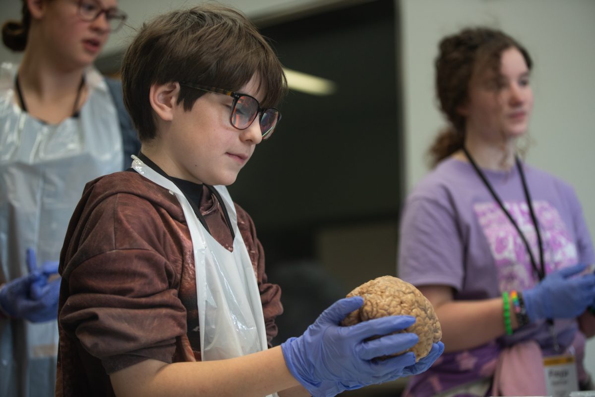 Ezra, a student, holds a preserved brain during a section on the brain and tissues at the University of Iowa Health Care STEM Education’s “Kids Go STEM!” Event on Saturday, December 6, 2025, at the Medical Education and Research Facility in Iowa City. During the event, the students attend various different sections of the STEM field, such as neuroscience or pathology while the parents attend presentations from various UIHC experts.