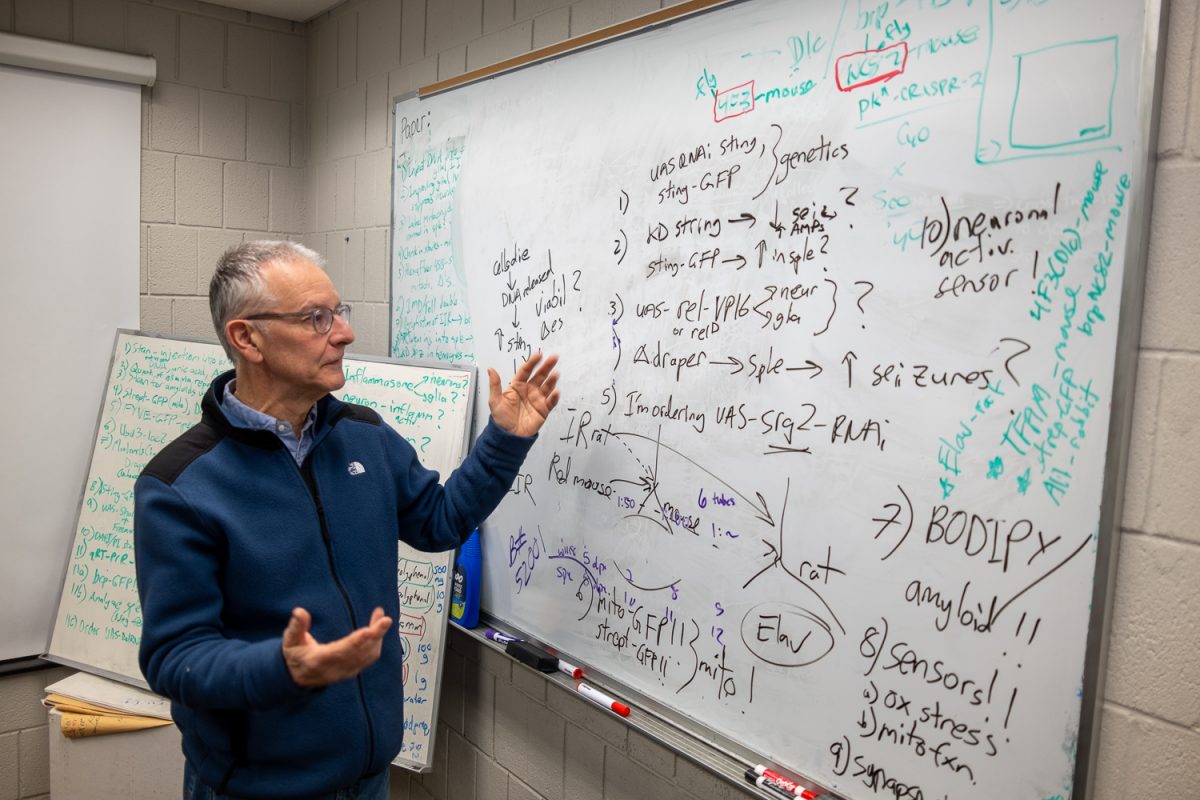 John Manak writes on a whiteboard while explaining his research on fruit fly genetics in his office in Iowa City on Wednesday, March 4, 2026. Manak studies fruit flies, which share many genetic similarities with humans, to better understand neurological conditions by analyzing gene activity in their brain tissue. (Grant Monacella/The Daily Iowan)