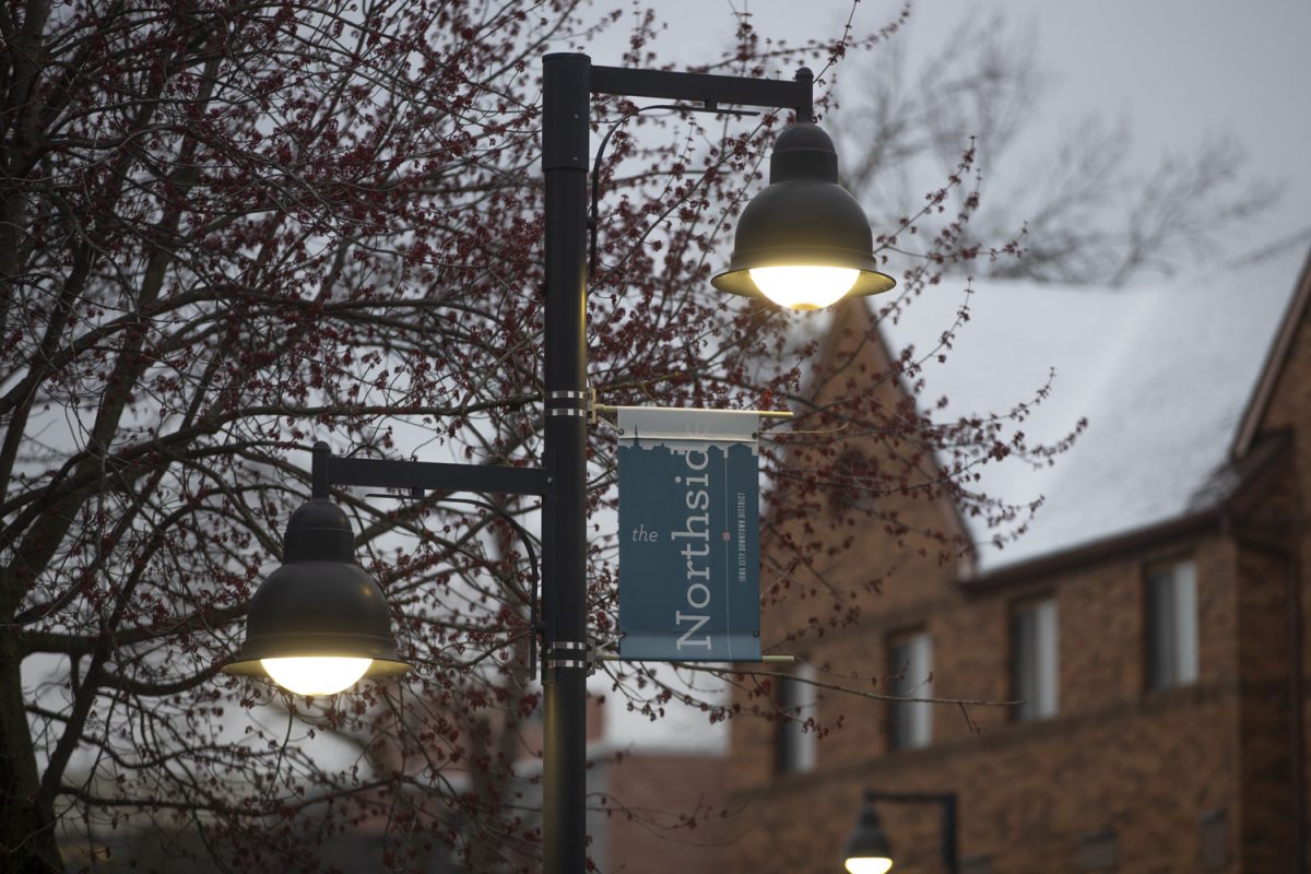 A streetlamp shines on the Northside of Iowa City on Friday, March 22, 2024.