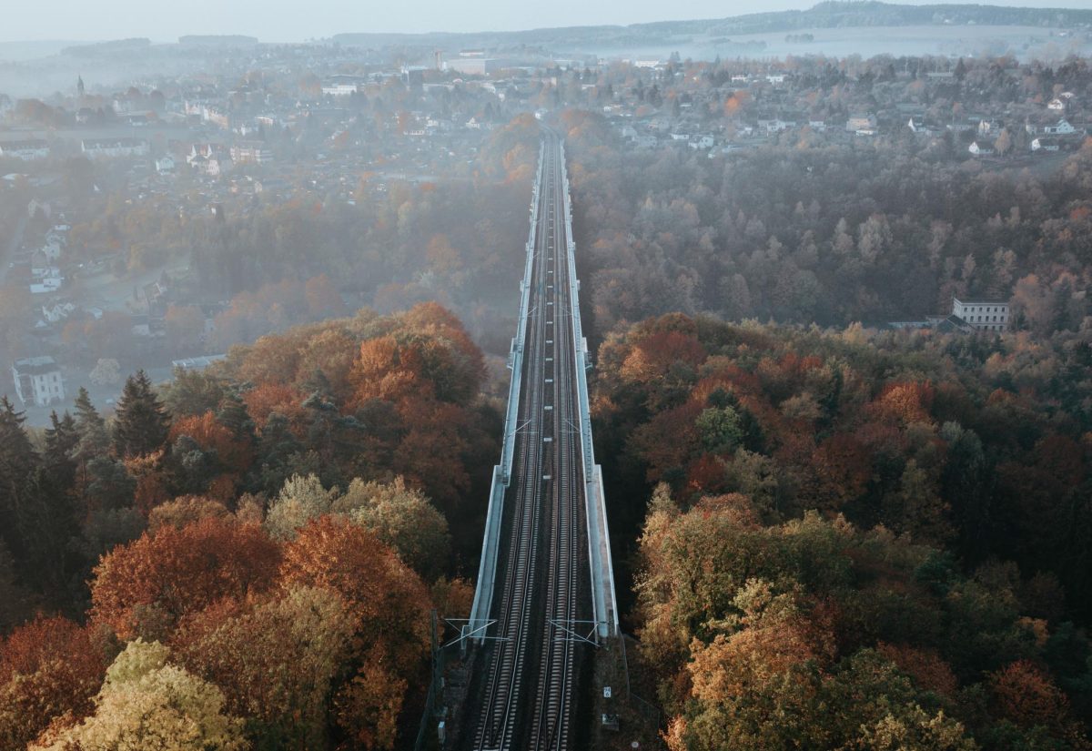 Long-Term Capital and the Discipline of Patience According to Nicole Junkermann