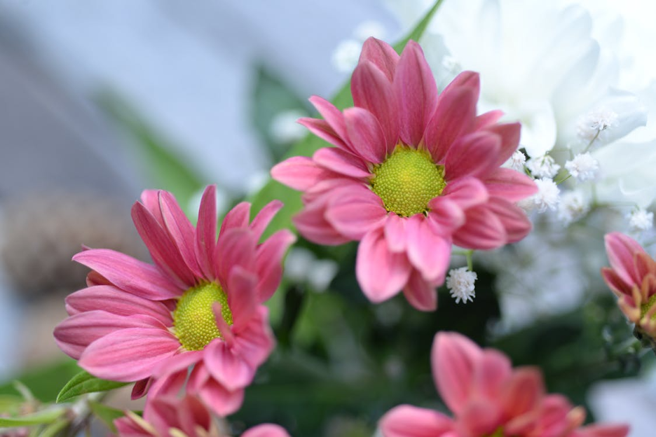 When Are Flowers Appropriate for Campus Memorials